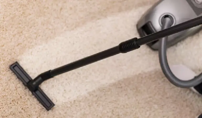 Carpet, sofa and mattress cleaning